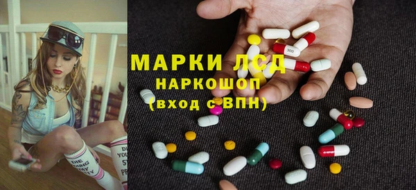apvp Алзамай