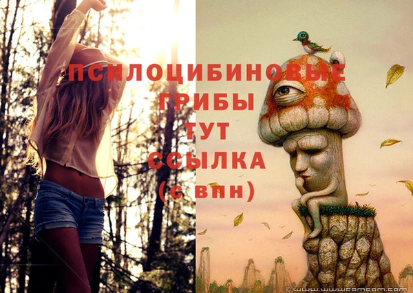 apvp Алзамай