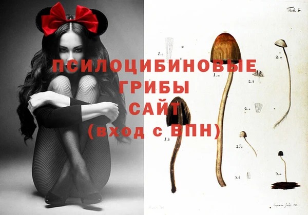 сатива Алексеевка