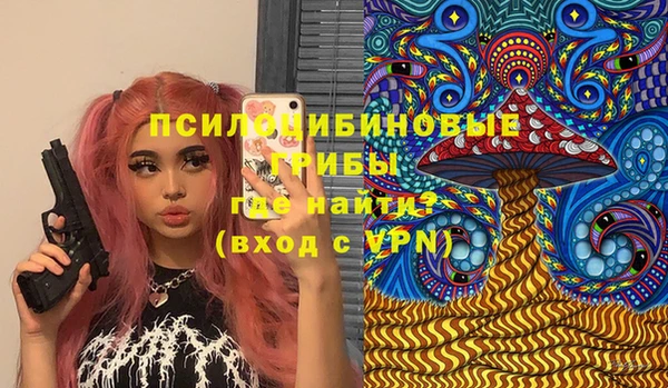 сатива Алексеевка