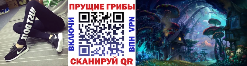 Галлюциногенные грибы GOLDEN TEACHER  где купить наркоту  Биробиджан 